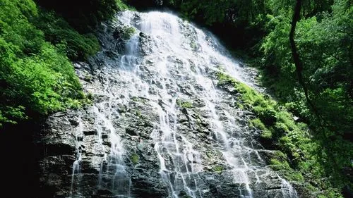 高性能独特